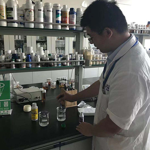 Product & Recipe Customize