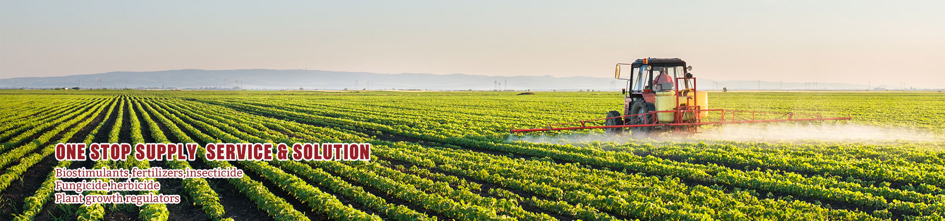 Types of Humic Acid Fertilizers Supplier in China - Baysource