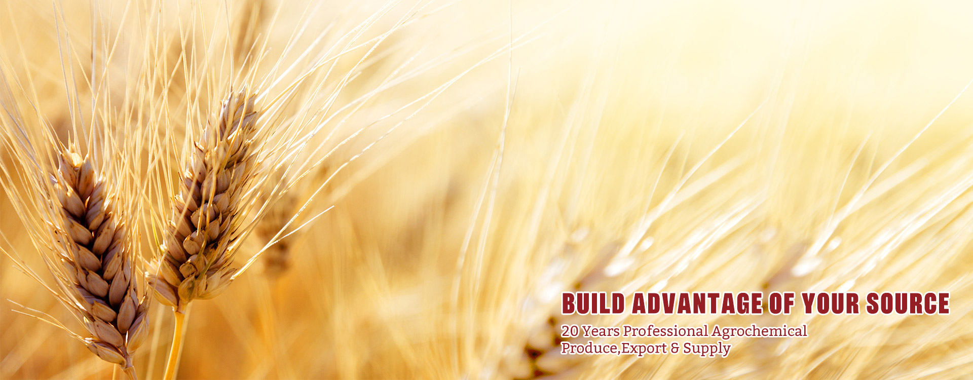 Types of Humic Acid Fertilizers Supplier in China – Baysource